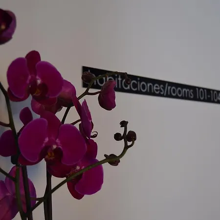 Plaza Mayor Hotel 3*