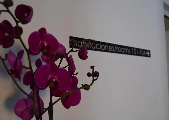 Plaza Mayor Отель 3*