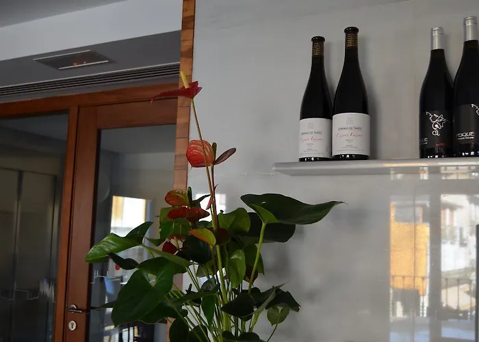 Plaza Mayor 호텔 3*